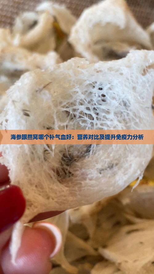 海参跟燕窝哪个补气血好：营养对比及提升免疫力分析