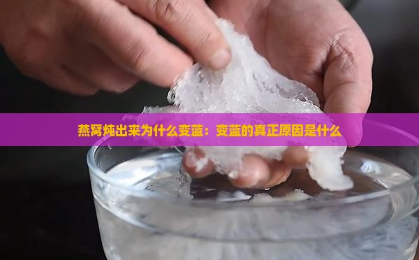 燕窝炖出来为什么变蓝：变蓝的真正原因是什么