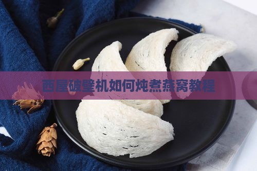 西屋破壁机如何炖煮燕窝教程