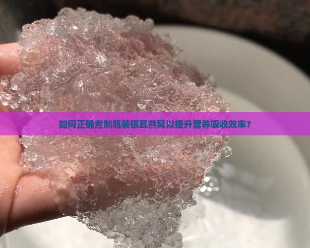 如何正确煮制瓶装银耳燕窝以提升营养吸收效率？