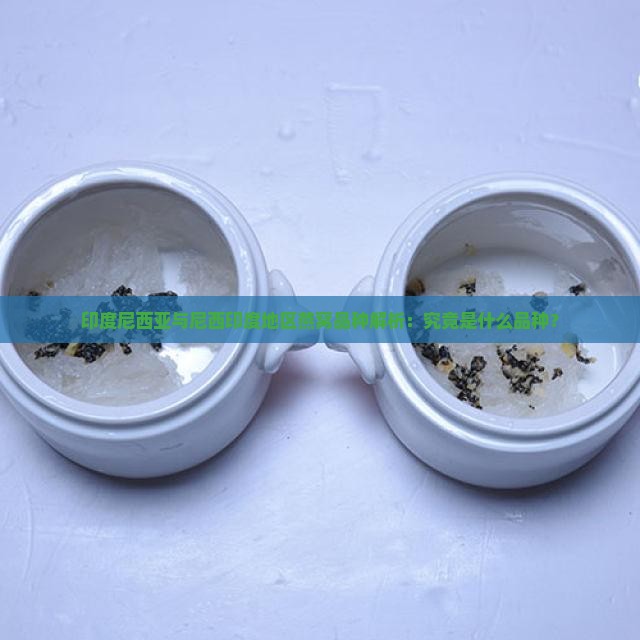 印度尼西亚与尼西印度地区燕窝品种解析：究竟是什么品种？