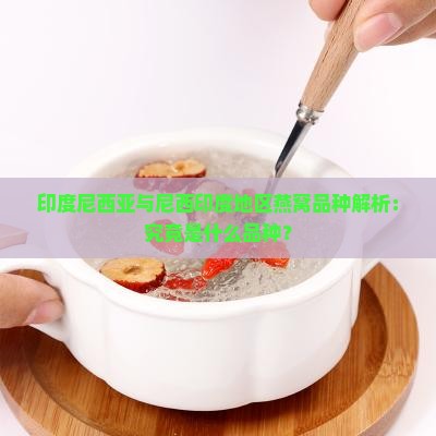 印度尼西亚与尼西印度地区燕窝品种解析：究竟是什么品种？
