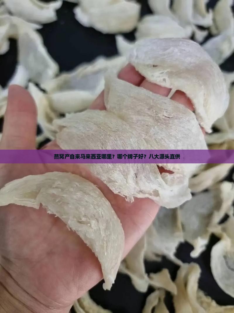 燕窝产自来马来西亚哪里？哪个牌子好？八大源头直供
