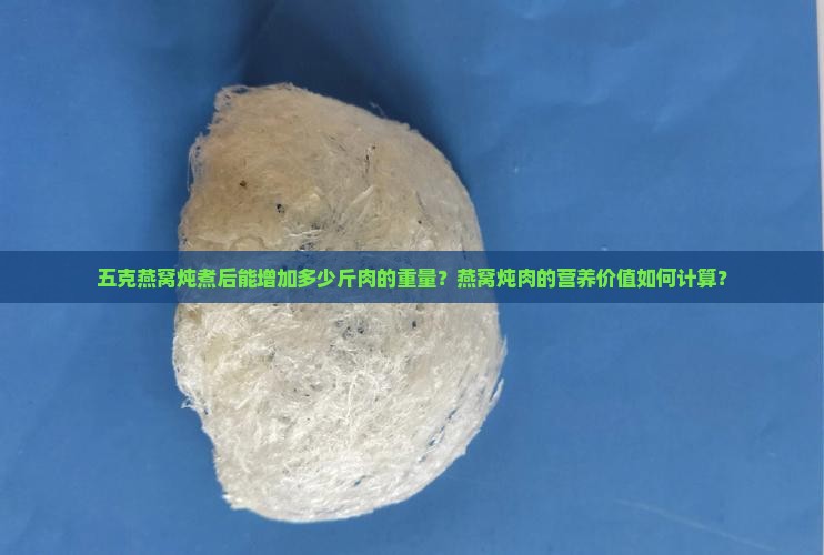 五克燕窝炖煮后能增加多少斤肉的重量？燕窝炖肉的营养价值如何计算？