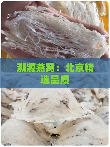 溯源燕窝：北京精选品质