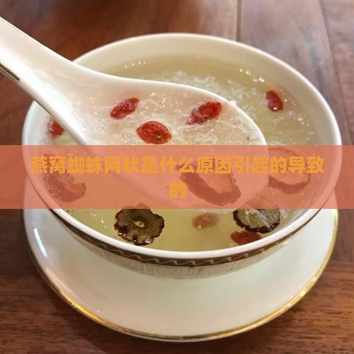 燕窝蜘蛛网状是什么原因引起的导致的