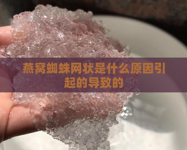 燕窝蜘蛛网状是什么原因引起的导致的