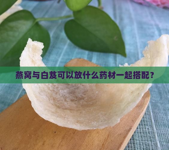 燕窝与白芨可以放什么药材一起搭配？