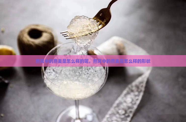 燕窝中的燕麦是怎么样的呢，燕窝中的燕麦是怎么样的形状
