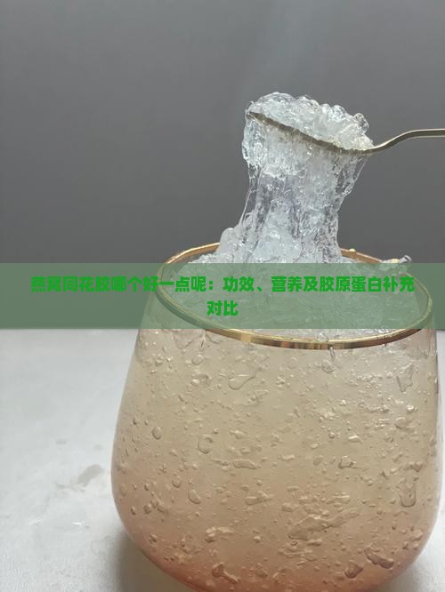 燕窝同花胶哪个好一点呢：功效、营养及胶原蛋白补充对比