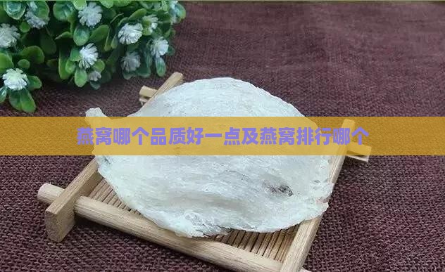 燕窝哪个品质好一点及燕窝排行哪个