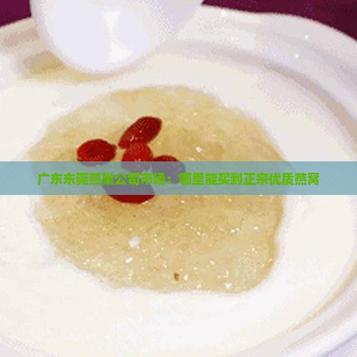 广东东莞燕巢公司市场：哪里能买到正宗优质燕窝