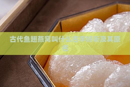 古代鱼翅燕窝叫什么名字好听及其原名