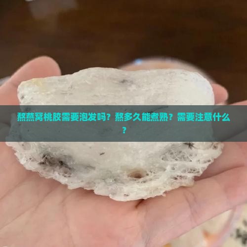 熬燕窝桃胶需要泡发吗？熬多久能煮熟？需要注意什么？