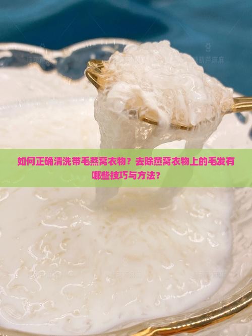 如何正确清洗带毛燕窝衣物？去除燕窝衣物上的毛发有哪些技巧与方法？