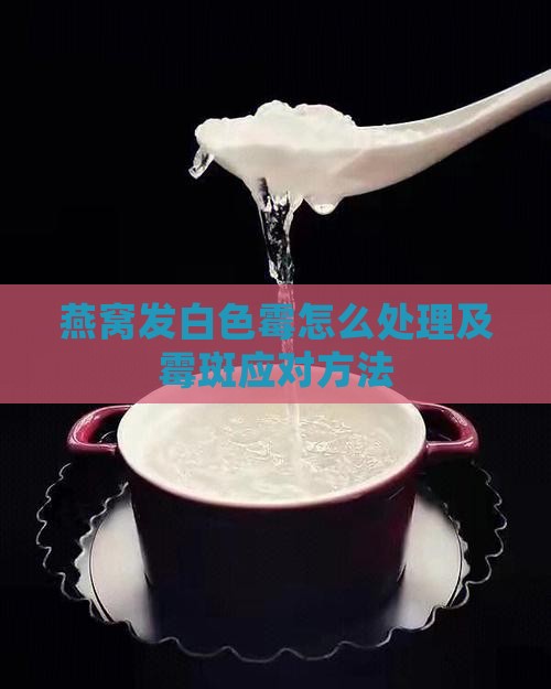 燕窝发白色霉怎么处理及霉斑应对方法
