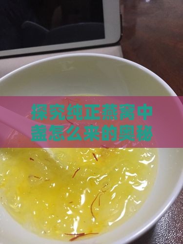 探究纯正燕窝中盏怎么来的奥秘