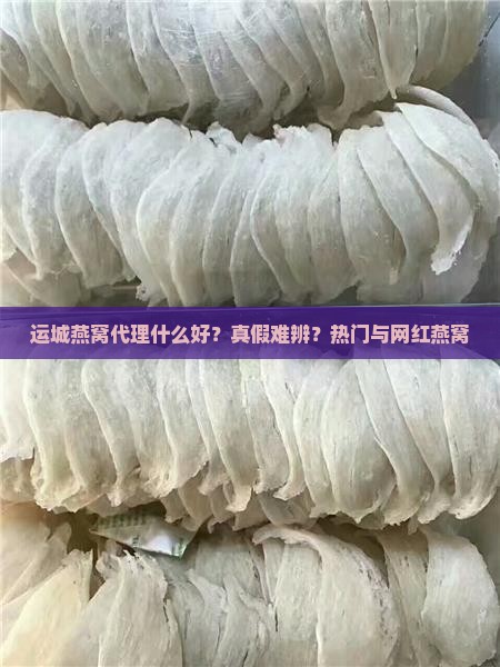 运城燕窝代理什么好？真假难辨？热门与网红燕窝