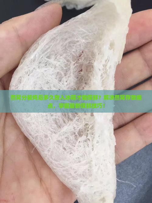 燕窝分装炖后多久放入冰箱才能保鲜？解决燕窝存放痛点，掌握最新保鲜技巧！