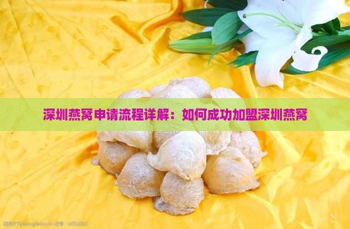 深圳燕窝申请流程详解：如何成功加盟深圳燕窝