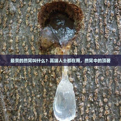最贵的燕窝叫什么？高端人士都在用，燕窝中的顶奢