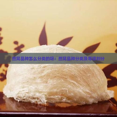 燕窝品种怎么分类的呀：燕窝品种分类及等级划分