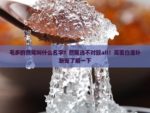 毛多的燕窝叫什么名字？燕窝选不对毁all！高蛋白滋补新宠了解一下