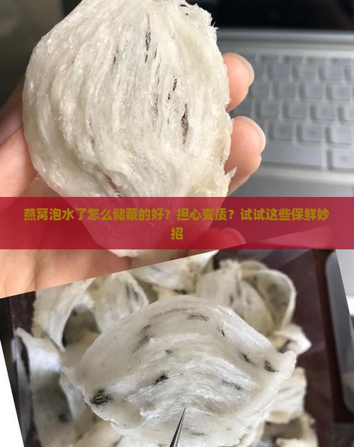 燕窝泡水了怎么储藏的好？担心变质？试试这些保鲜妙招