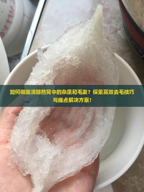 如何彻底清除燕窝中的杂质和毛发？探索高效去毛技巧与痛点解决方案！