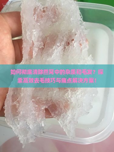 如何彻底清除燕窝中的杂质和毛发？探索高效去毛技巧与痛点解决方案！
