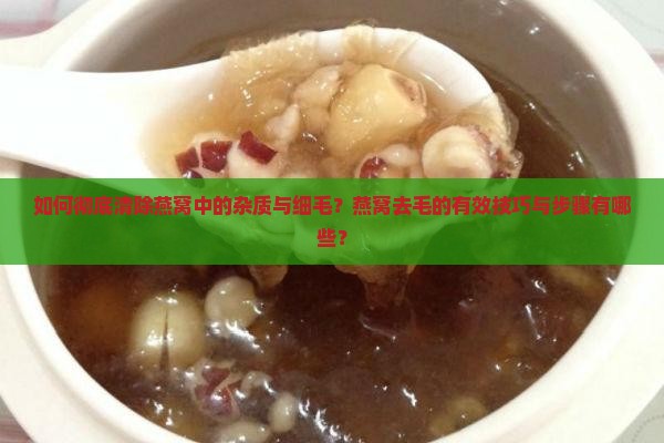 如何彻底清除燕窝中的杂质与细毛？燕窝去毛的有效技巧与步骤有哪些？