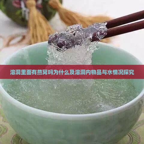 溶洞里面有燕窝吗为什么及溶洞内物品与水情况探究