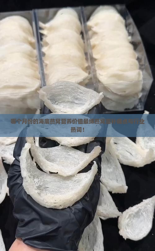 哪个月份的海底燕窝营养价值最缚燕窝滋补痛点与行业热词！