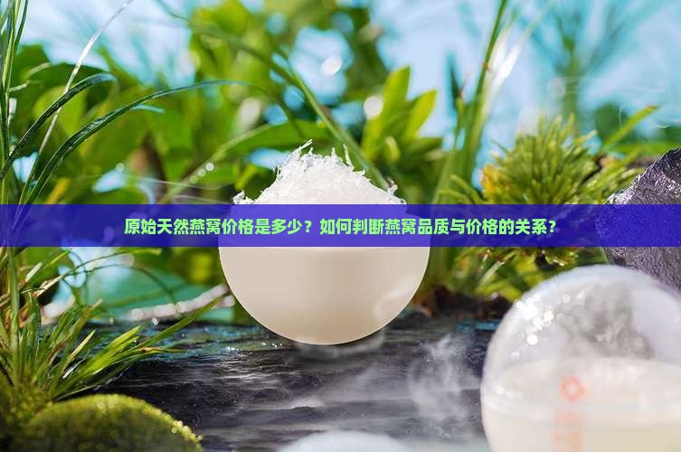 原始天然燕窝价格是多少？如何判断燕窝品质与价格的关系？