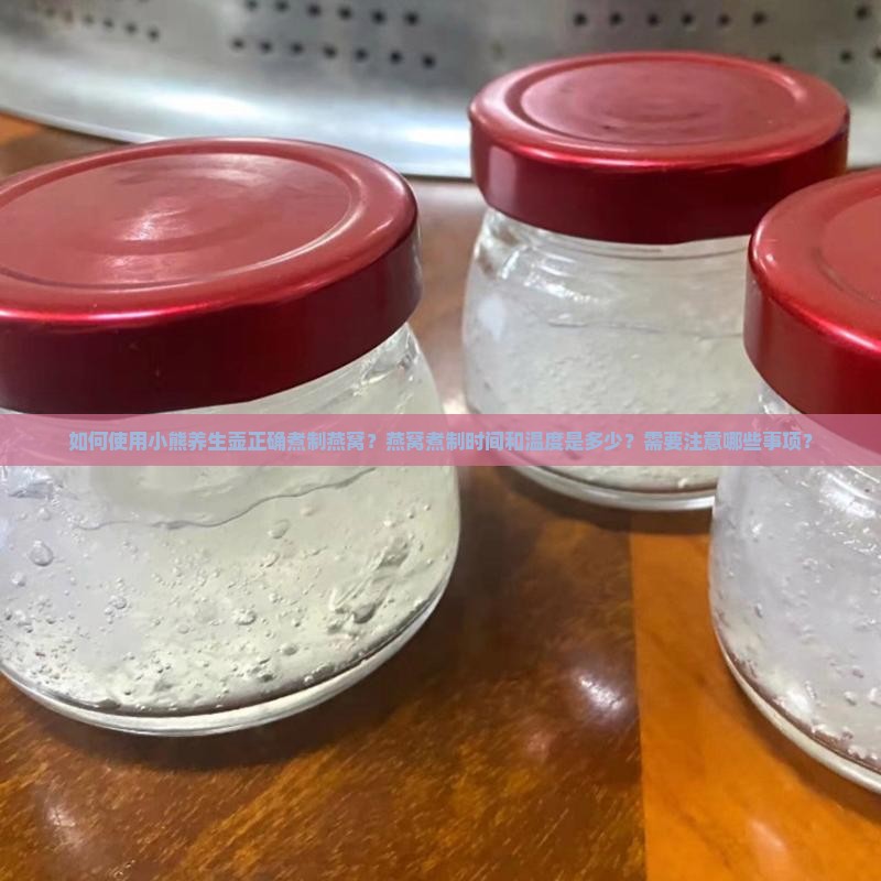 如何使用小熊养生壶正确煮制燕窝？燕窝煮制时间和温度是多少？需要注意哪些事项？
