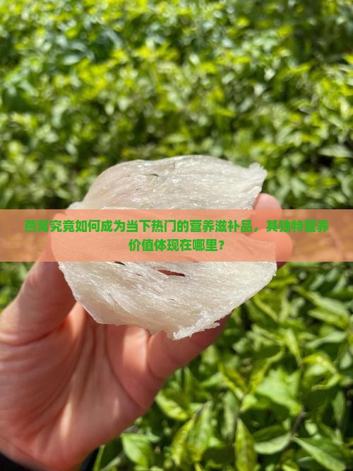 燕窝究竟如何成为当下热门的营养滋补品，其独特营养价值体现在哪里？