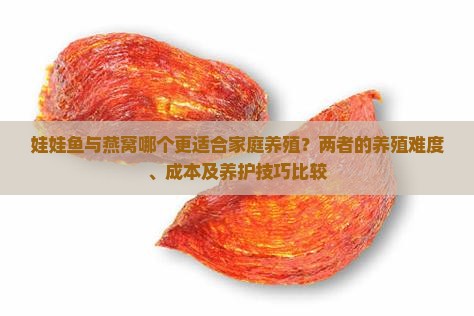 娃娃鱼与燕窝哪个更适合家庭养殖？两者的养殖难度、成本及养护技巧比较