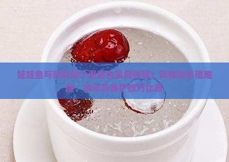 娃娃鱼与燕窝哪个更适合家庭养殖？两者的养殖难度、成本及养护技巧比较