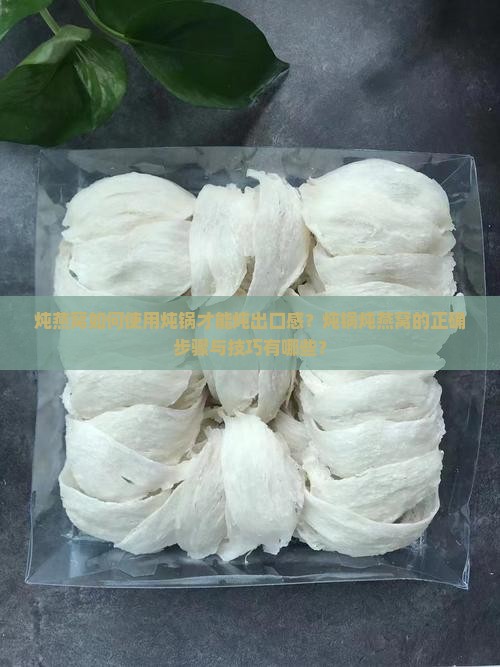 炖燕窝如何使用炖锅才能炖出口感？炖锅炖燕窝的正确步骤与技巧有哪些？