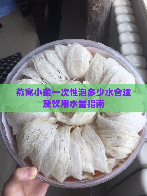 燕窝小盏一次性泡多少水合适及饮用水量指南