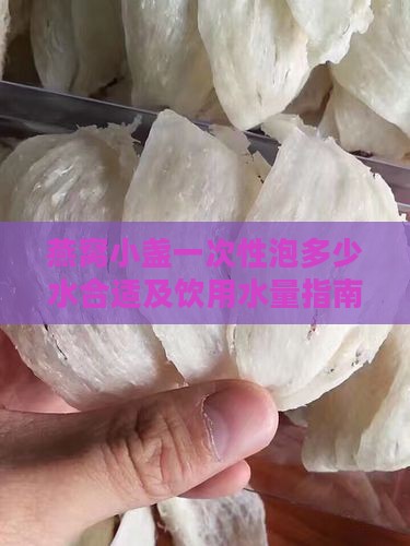燕窝小盏一次性泡多少水合适及饮用水量指南