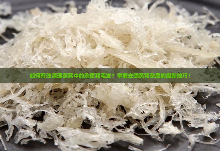 如何有效清理燕窝中的杂质和毛发？掌握去除燕窝杂质的最新技巧！