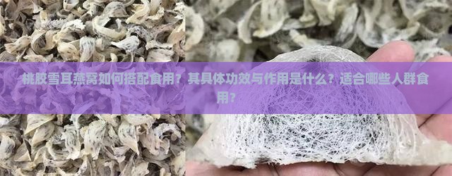 桃胶雪耳燕窝如何搭配食用？其具体功效与作用是什么？适合哪些人群食用？