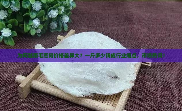 为何越南毛燕窝价格差异大？一斤多少钱成行业痛点，市场热词！