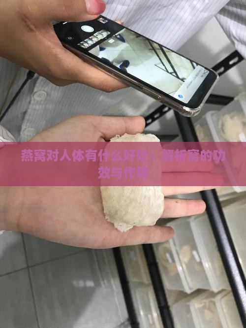 燕窝对人体有什么好处：解析窝的功效与作用