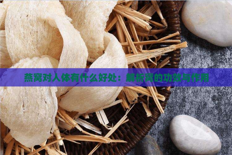 燕窝对人体有什么好处：解析窝的功效与作用