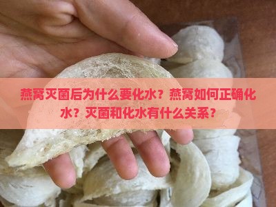 燕窝灭菌后为什么要化水？燕窝如何正确化水？灭菌和化水有什么关系？