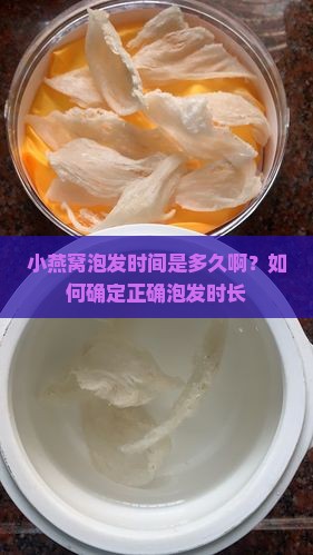 小燕窝泡发时间是多久啊？如何确定正确泡发时长