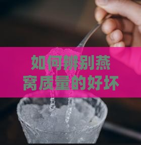如何辨别燕窝质量的好坏及判断其优劣