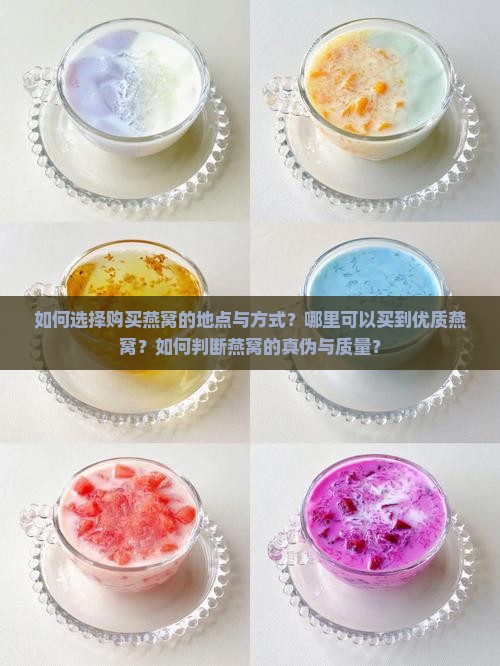 如何选择购买燕窝的地点与方式？哪里可以买到优质燕窝？如何判断燕窝的真伪与质量？